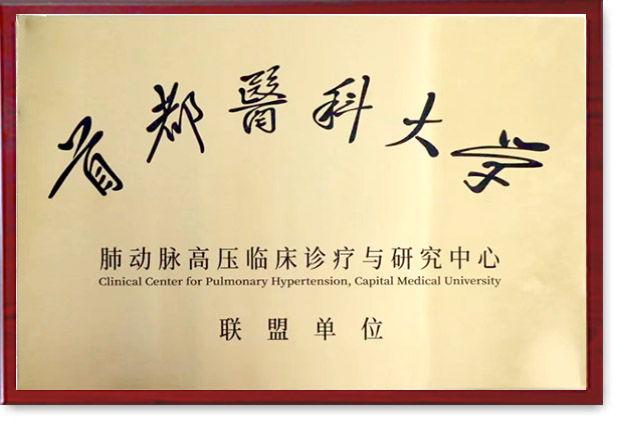 2024年首都医科大学肺动脉高压临床诊疗与研究中心联盟单位